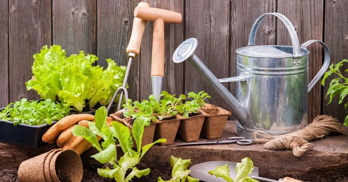 Types of Gardening Tools You Should Have