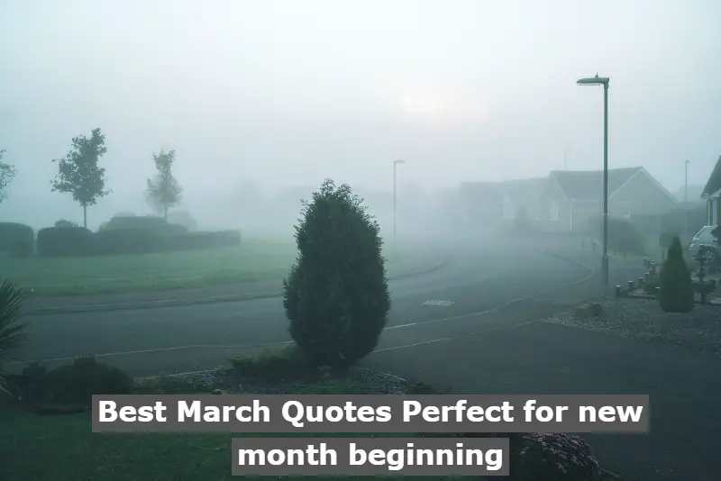 Best March Quotes Perfect for new month beginning