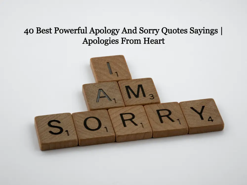 40 Best Powerful Apology And Sorry Quotes Sayings | Apologies From Heart