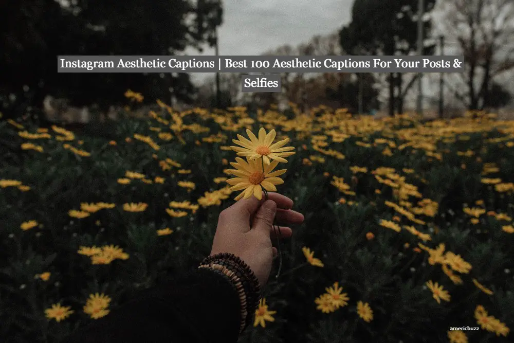 Instagram Aesthetic Captions | Best 100 Aesthetic Captions For Your Posts & Selfies
