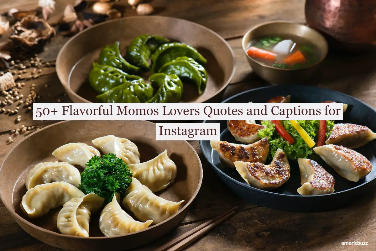 50+ Flavorful Momos Lovers Quotes and Captions for Instagram