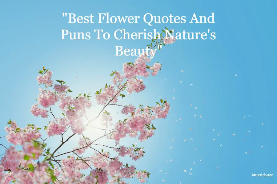 Best Flower Quotes And Puns To Cherish Nature's Beauty