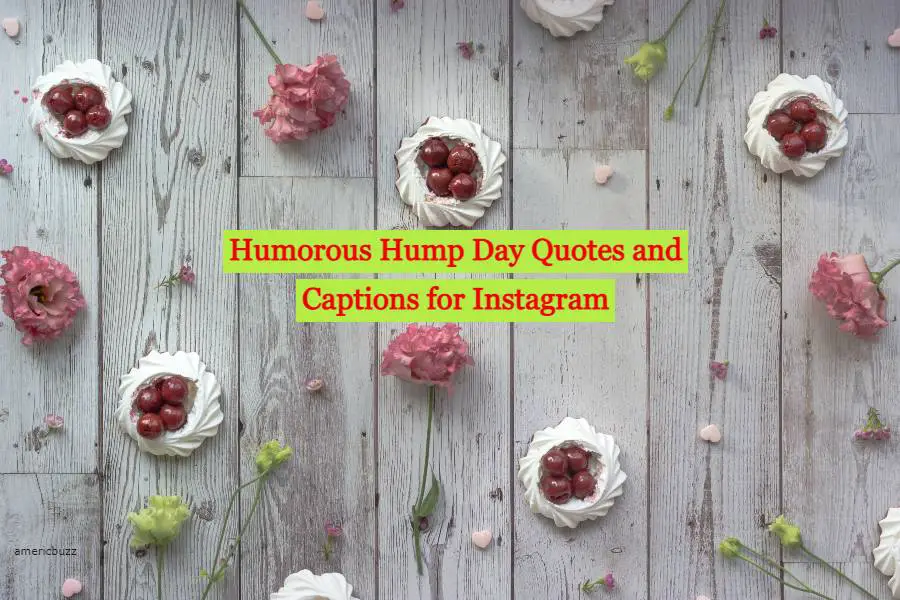 50 Humorous Hump Day Quotes and Captions for Instagram