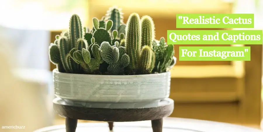 Realistic Cactus Quotes and Captions For Instagram