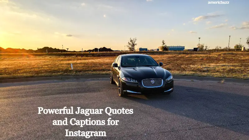 30 Powerful Jaguar Quotes and Captions for Instagram