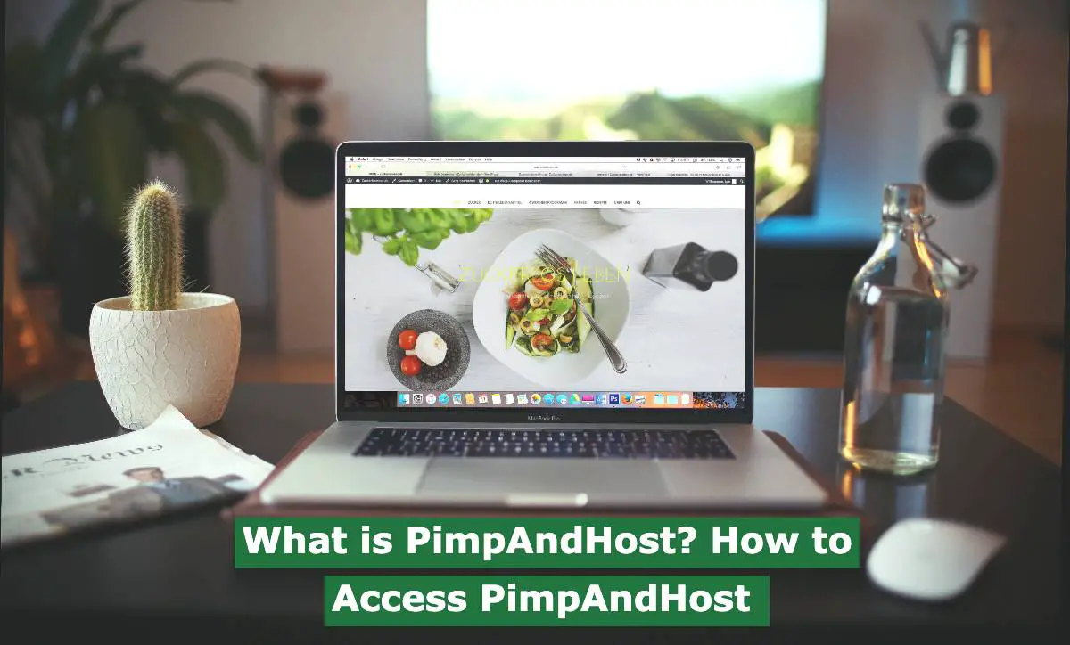 What is PimpAndHost? How to Access PimpAndHost
