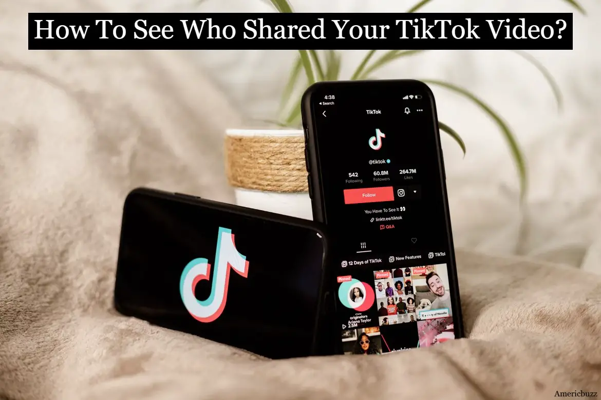 How To See Who Shared Your TikTok Video