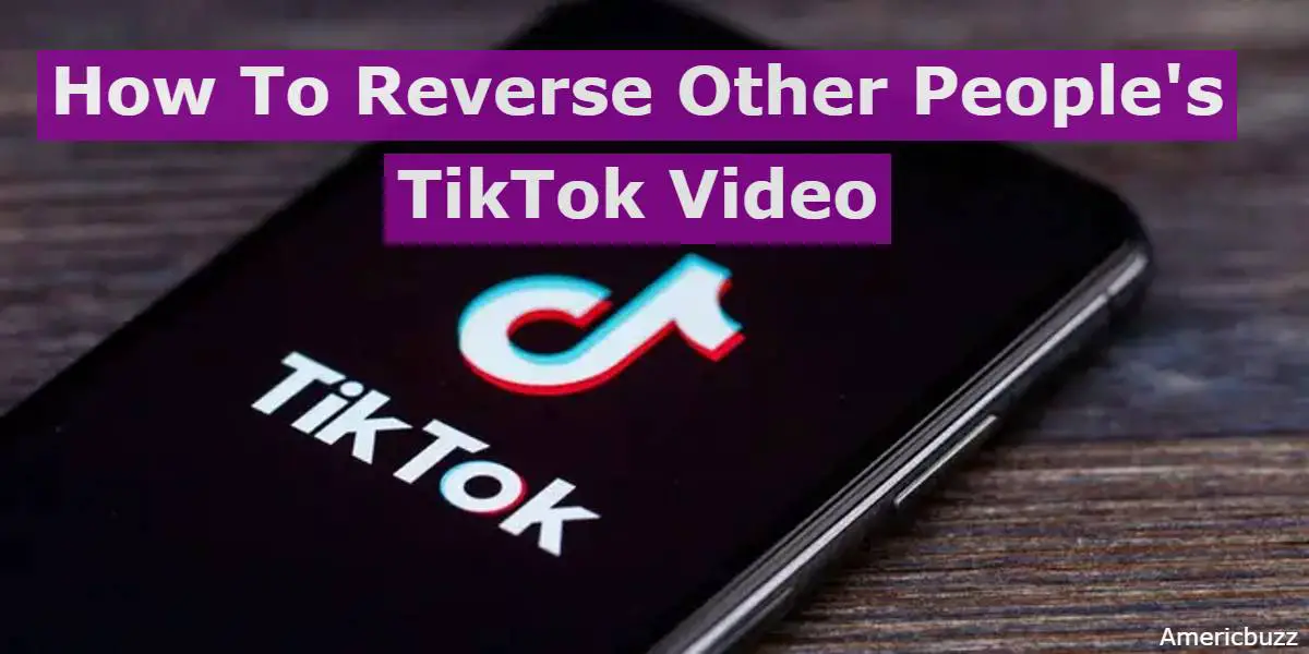 Best Methods To Reverse Other People's TikTok Video