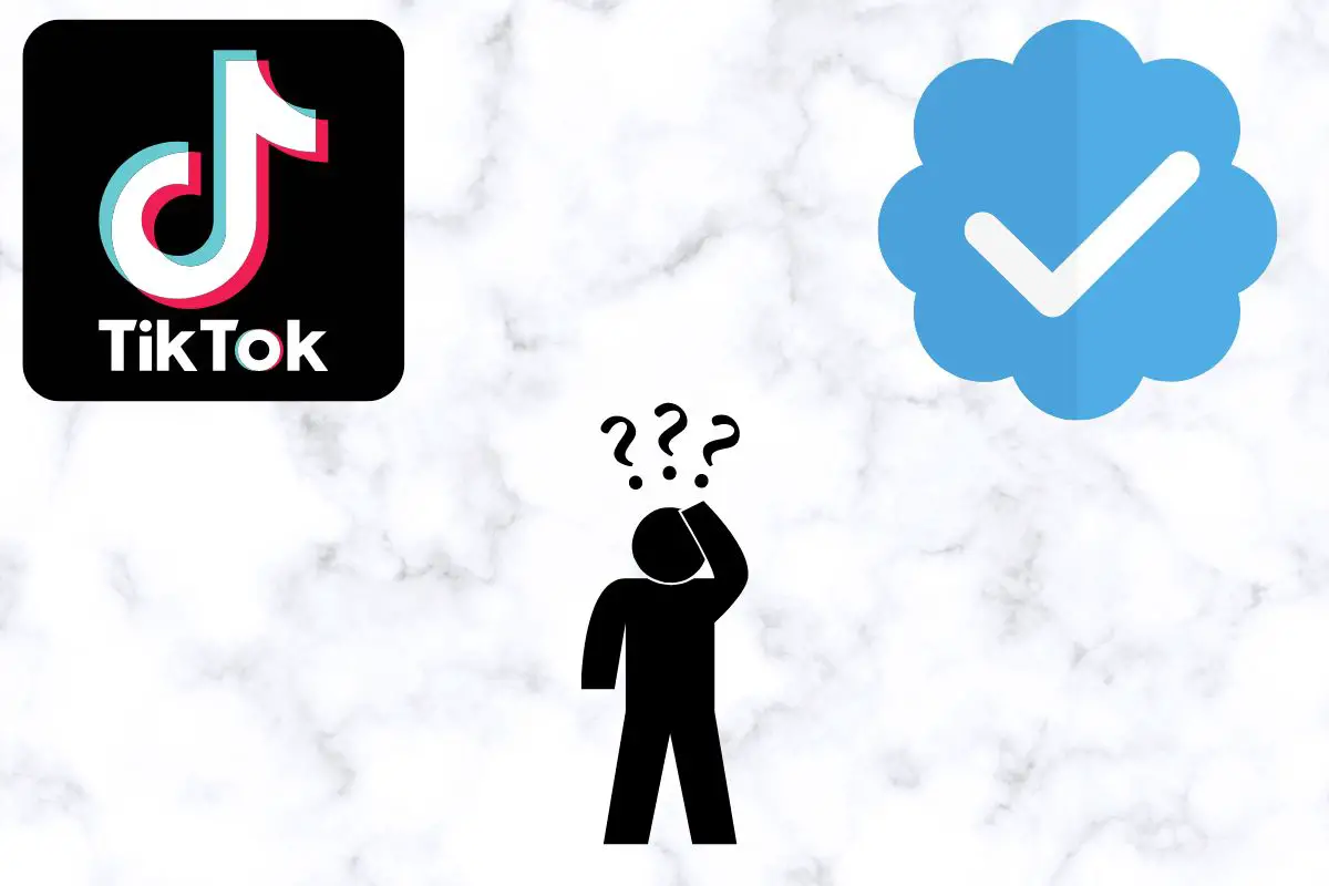 How To Get Verified On TikTok?
