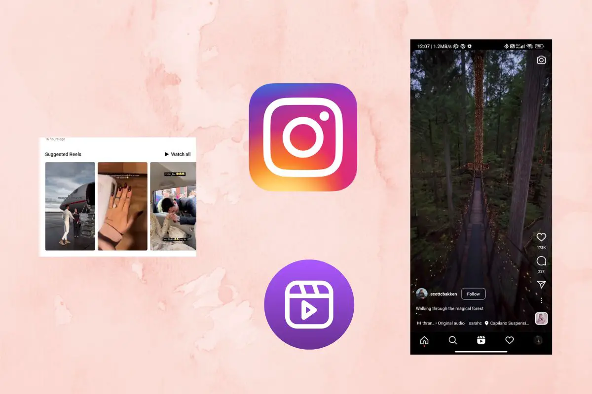 How To Auto Scroll Reels On Instagram?
